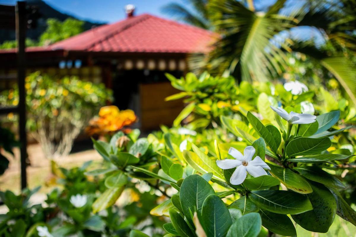 Raiatea Sur Mer Opoa Exteriér fotografie