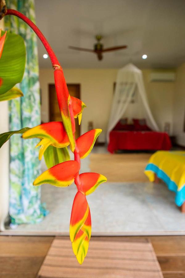 Raiatea Sur Mer Opoa Exteriér fotografie
